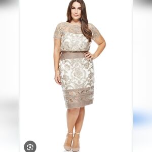 Tadashi Shoji Sequin Embroidered Blouson Dress Sz 14